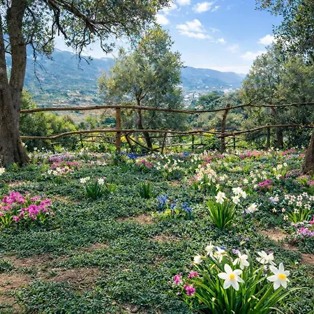 Deluxe Nature Galovi Dvori *